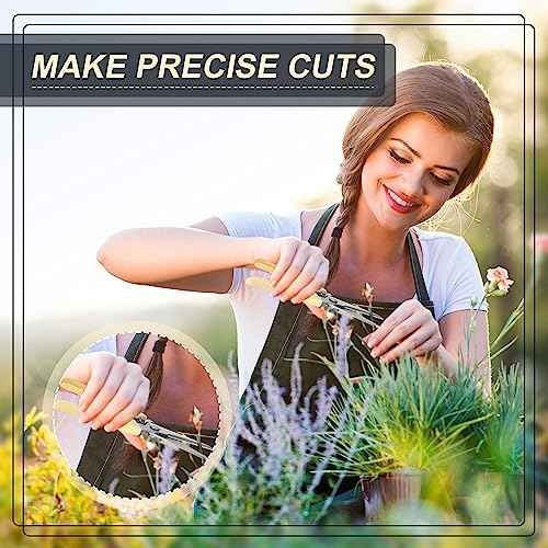 Chumia 30 Pcs Garden Flower Shears Pruning Scissors Heavy Duty Plant Scissors Trimming Garden Clippers Hand Tree Pruner for Yard Gardening Plants Hedge Flower Tree Cutting Secateurs (Beige)