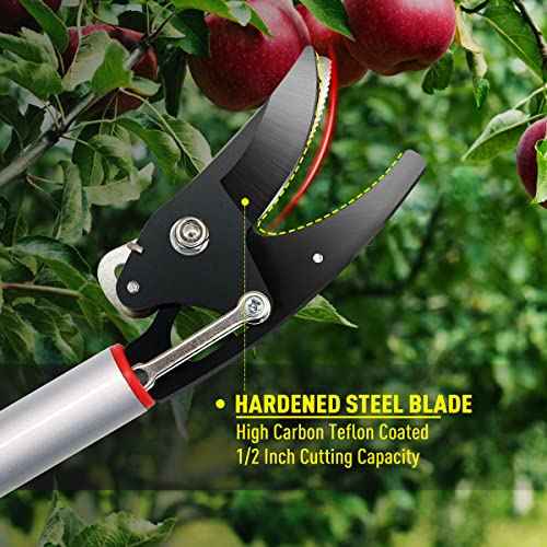 Cut and Hold Pruner Set, Lightweight 32-Inch Long Reach Pruner One-Handed Operation, Hold Long Reach Cut Rotating, 8.3" Hand Pruner for Branch Pruning, Fruit Picking, Prickly Plants & Roses