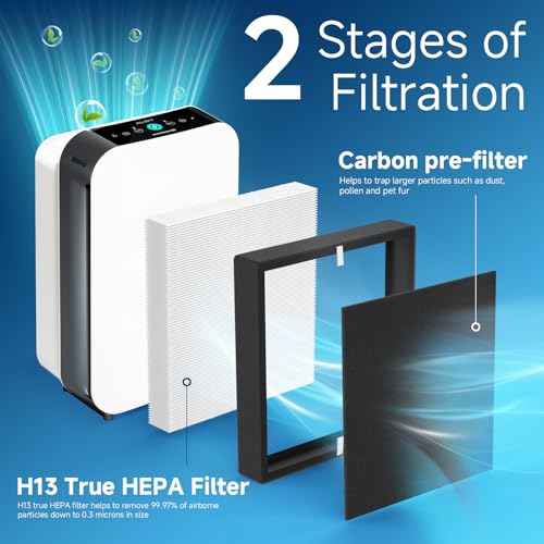 BF35 H13 Grade True HEPA Replacement Filter Compatible with BreatheSmart Classic BF35 Air Cleaner Purifier for Longer Usage,2 x HEPA Filters + 2 ¡¿ Carbon Pre-Filters