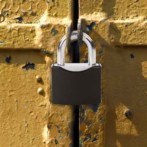 SEPOX¢ç10-Pack 1-9/16" Weather-Proof Outdoor Padlocks Keyed Different, Brass Cylinder, Heavy-Duty Solid Steel Body Covered Black, Locks for Gates, Sheds, Storage Lockers, Fence, Boats, Marine, Fishing