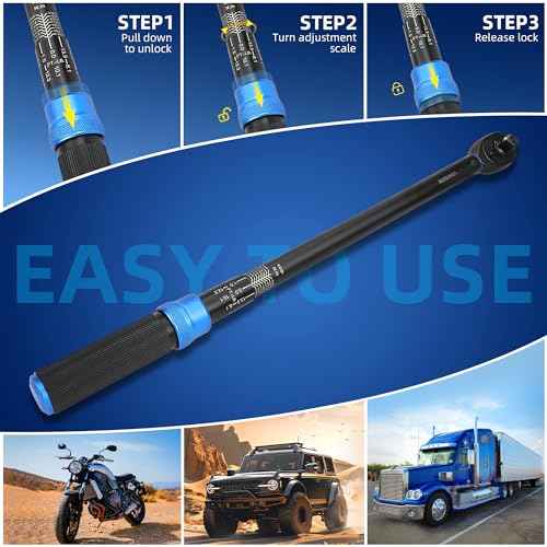 1/2-Inch Drive Click Torque Wrench, Dual-Direction Click Professional Torque Wrench 40-300FT.LB/33.9-339N.M, Dual Range Scales Graduated in FT.LB and N.M, Blue