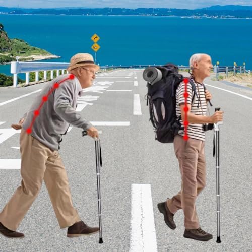 Ruyi Folding Cane for Stability, Walking Cane for Men, Folding Canes for Women Adjustable for Travel, Dual Modes Handle (Sticks or Canes) with Daily Pill Box