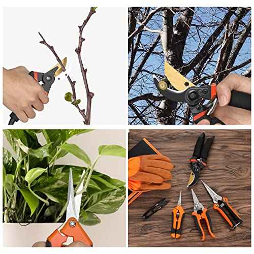 5 pack Garden Pruning Shears Stainless Steel Blades, Handheld Scissors Set with Gardening Gloves,Heavy Duty Garden Bypass Pruning Shears,Tree Trimmers Secateurs, Hand Pruner (Classic)