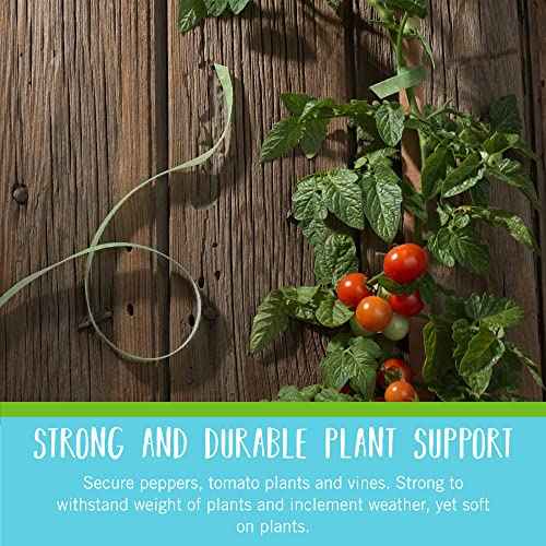 VELCRO Brand VEL-30088-AMS Garden Pre-Cut 45pcs ONE-WRAP Plant Ties Suitable for Tomatoes Flowers or Vegetables in Raised Beds, 8 in X 1/2 in, Green-Recycled Plastic