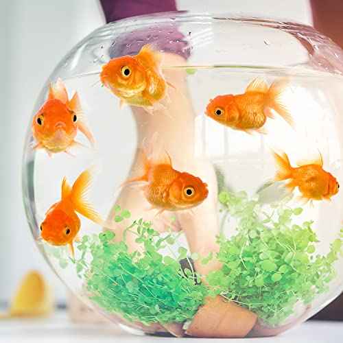 Vinyl Stickers 12 Goldfish Wall Decals Peel and Stick Wall Decor Stickers for Home Bathroom Kitchen Windows Wall Decor Laptop Sticker Car Decal Travel Luggage Sticker Decorations