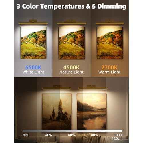 EZVALO Picture Lights for Wall, 16'' Rechargeable 6000mAh Painting Lights with Remote, Wireless Dimmable 3 Color Temperatures Art Lights for Gallery, Living Room, Hallway (Gold, 2Pack)