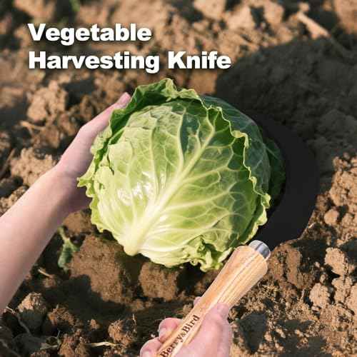 Berry&Bird Grass Sickle with Sawtooth, Heavy Duty SK5 Carbon Steel Blade Sickle Knife Scythe Garden Tool, Brush Clearing Sickle Weeding & Harvesting Tool for Gardeners/Farmers - Ashwood Handle