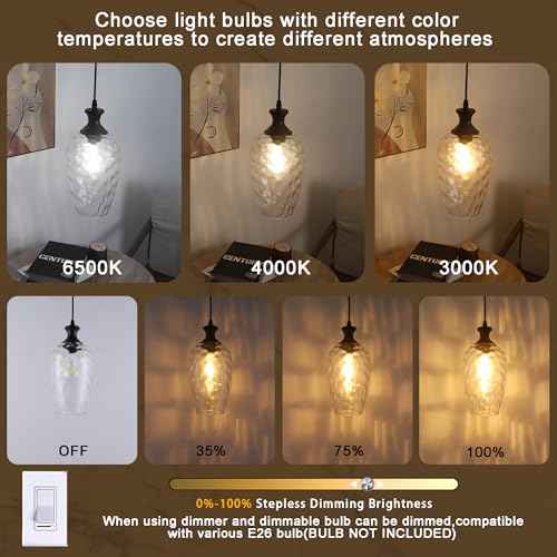 Glass Pendant Lights Kitchen Island, 1-Light Black Pendant Light Fixtures with Hand-Blown Clear Glass, Farmhouse Hanging Light for Kitchen Sink Dining Room Bedroom, E26