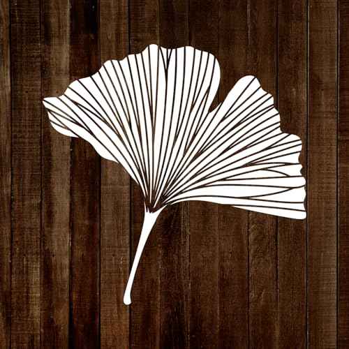 MAGJUCHE Ginkgo Leaf Stencil 12 Inches, Reusable Biloba Stencil for Painting DIY Crafts Decor