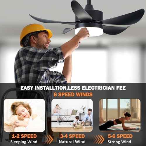 Ceiling Fans with Lights and Remote,30 Inch Smart Ceiling Fan,Reversible,Noiseless,Small Black Ceiling Fan for Bedroom Kitchen Indoor/Outdoor Patio