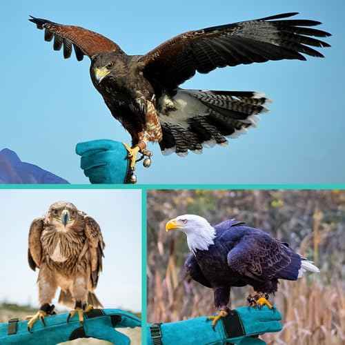 Animal Handling Glove Anti Scratch Protective Gloves Bite Resistant Gloves for Dogs Cat Bird Snake Lizard Wild Animals