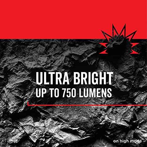 Rayovac Virtually Indestructible LED Spotlight, 750 Lumen Waterproof Spot Flashlight