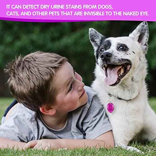 50 Pcs Mini UV LED Keychain Flashlight 395nm UV Light Black Light Keychain Flashlight Portable UV Keychain Flashlight for PET Urine Passport ID Card and Currency, UV Light Key Ring Light Torch