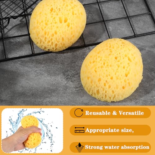 2Pcs Texture Sponges, Sponge for Patch/Repair Ceiling Drywall Wall, Round Clay Sponges for Pottery, DIY Painting Ceiling Wall Texture