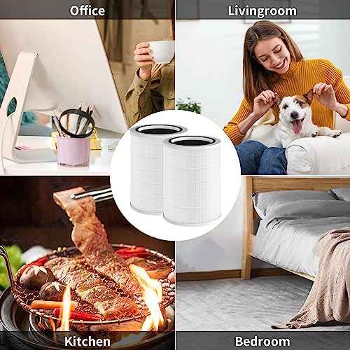 2-Pack Replacement Filter Compatible with Clorox Large Room Purifier, model # 11010 & 11011, 1,500 Sq. Ft. Capacity£¨12010£©