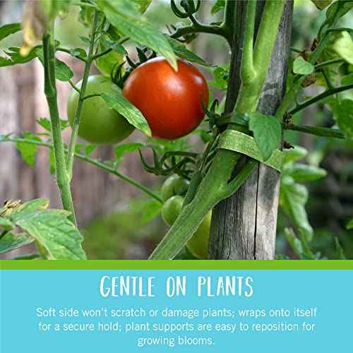VELCRO Brand VEL-30088-AMS Garden Pre-Cut 45pcs ONE-WRAP Plant Ties Suitable for Tomatoes Flowers or Vegetables in Raised Beds, 8 in X 1/2 in, Green-Recycled Plastic