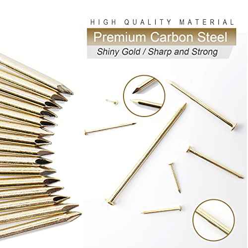 240pcs Gold Hardware Nails, 1-1/2¡± ¡¿ 14 Ga Brass Plated Wood Nails, Nails for Hanging Wall Decor, Finishing Nails, Picture Hanging Nails, Wall Nails, Roofing Nails
