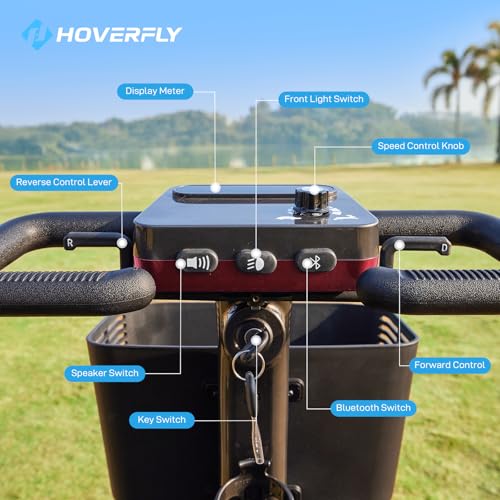 T5 Mobility Scooter, 4-Wheel Mobility Scooter for Adults - 16.8 Miles Range, 5 Mph, Smart Safety Features, Removed Battery, Rotating Swivel Seat, Headlight