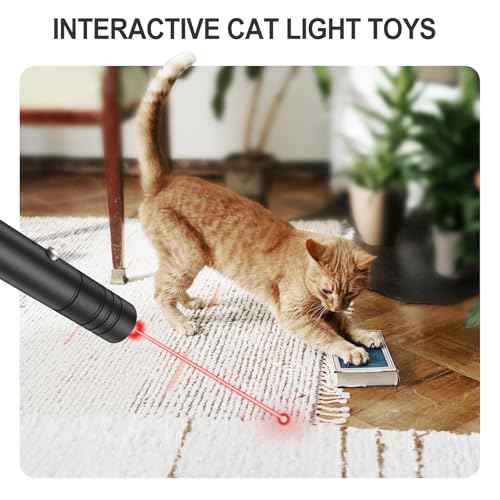 [2 Packs] Red Light Flashlight, Long Distance USB Rechargeable Tactical Beam with Star Cap Adjustable Effect for Outdoor Journeys, Presentations, TV/LED/LCD Screens, and Stargazing