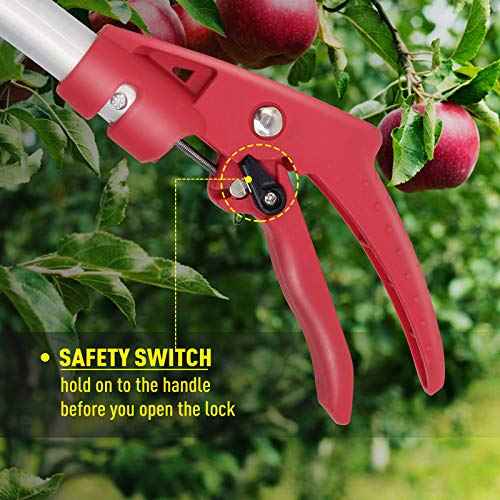 Cut and Hold Pruner Set, Lightweight 32-Inch Long Reach Pruner One-Handed Operation, Hold Long Reach Cut Rotating, 8.3" Hand Pruner for Branch Pruning, Fruit Picking, Prickly Plants & Roses