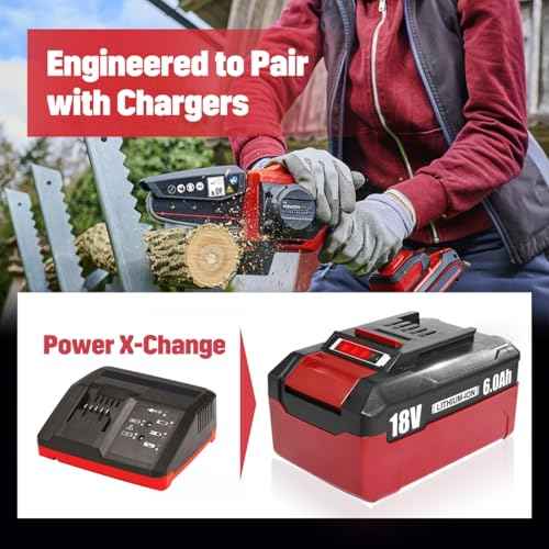2-Pack 18V 6Ah Battery Pack Compatible with Einhell Tools X-Change 4511396 4511437 Cordless Power Tools