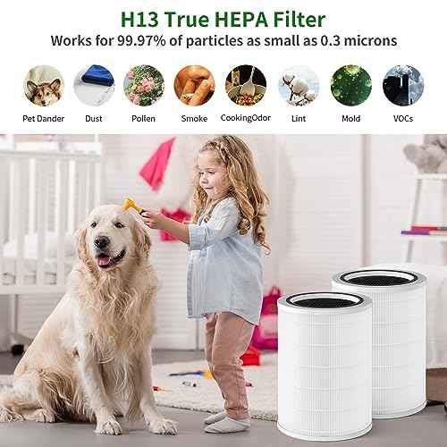2-Pack Replacement Filter Compatible with Clorox Large Room Purifier, model # 11010 & 11011, 1,500 Sq. Ft. Capacity£¨12010£©