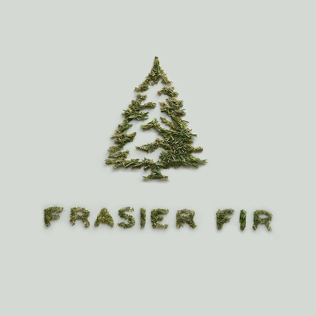Thymes Frasier Fir Pine Needle Candle – Holiday Candles for Home Scented with Notes of Crisp Siberian Fir, Cedarwood & Sandalwood – Christmas Decor – Christmas Gifts for Women & Men (6.5 oz)
