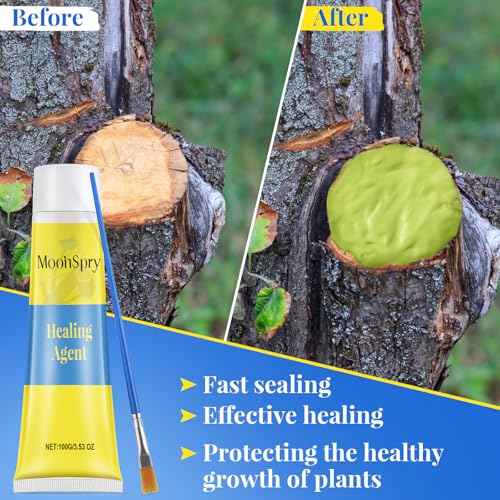 Tree Wound Pruning Sealer, Bonsai Wound Sealer Healing Paste, 100g Plant Cutting Dressing with Brush, Tree Grafting Supplies, Bonsai Cut Paste, Quick Recovery of Plants
