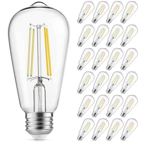 LED Edison Light Bulbs, 60W Equivalent Incandescent Edison Bulbs, Efficient 6W ST58, E26 Medium Base, Dimmable, 750 Lumens, 4000K, Cool White, 90+ CRI, Clear - 24 Count (Pack of 1)