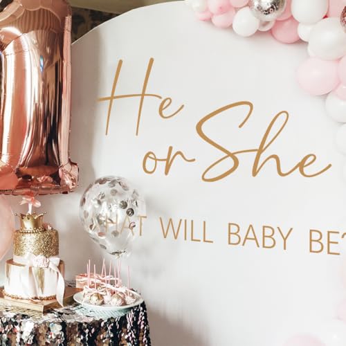 He or She Baby Gender Reveal Wall Decals - Vinyl Stickers for Backdrop Party Supply