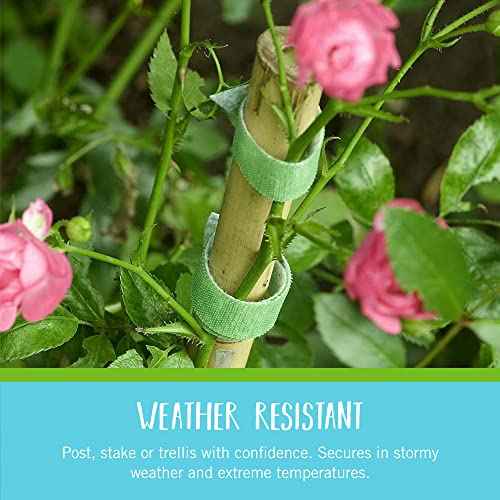 VELCRO Brand VEL-30088-AMS Garden Pre-Cut 45pcs ONE-WRAP Plant Ties Suitable for Tomatoes Flowers or Vegetables in Raised Beds, 8 in X 1/2 in, Green-Recycled Plastic