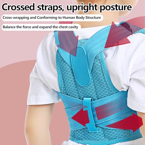 Posture Corrector for Kids,Adjustable Children Posture Corrector for Boys/Girls,Breathable Back Support Belt with Spine Lumbar Shoulder Braces for Hunchback，Spine Corrector (Blue, Large)