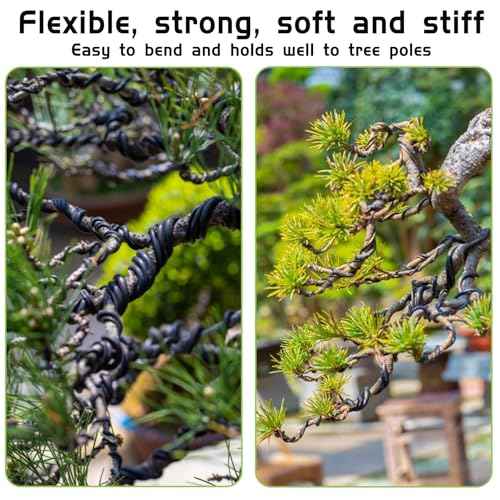 Bonsai Wire 2 Roll Black 1.5mm Aluminum Bonsai Training Wire for Fine Trunk (65 Feet Total)