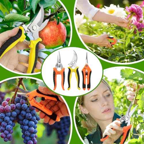 3 Pack Stainless Steel Garden Shears Pruning Set, Bypass, Serrated, and Straight Blade Scissors for Trimming Flowers, Branches, Stems - Perfect Pruners for Gardening & Plant Care