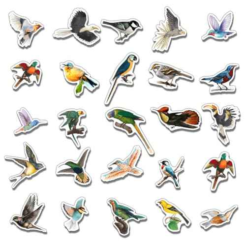 Pack 50 Pcs Cute Animal Bird Stickers for Water Bottles Waterproof Laptop Luggage Computer Scrapbooking Teens Adults Girls Kids Boys Aesthetic Sticker Packs Small Vinyl Decals