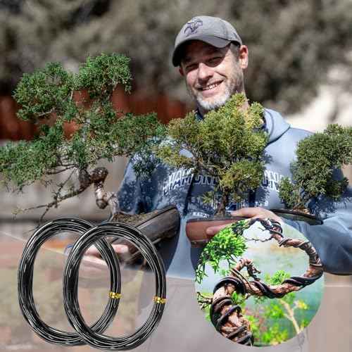 Bonsai Wire 2 Roll Black 1.5mm Aluminum Bonsai Training Wire for Fine Trunk (65 Feet Total)