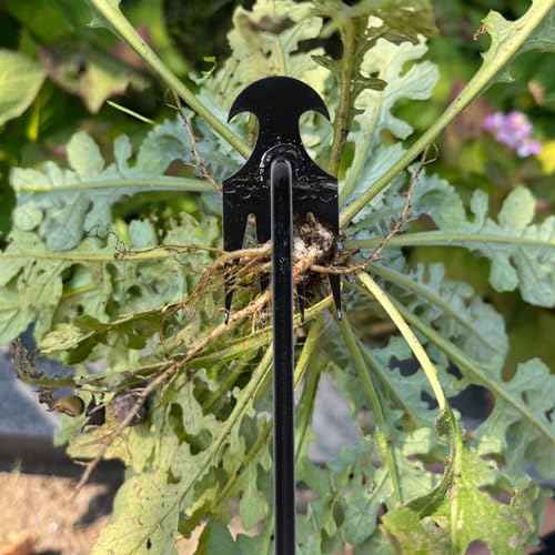 Garden Weed Pulling Tool Uprooting Weeding Tool, 4 Teeth Weed Puller Tool Manganese Steel Garden Weeder Tool for Vegetable Gardening Planting (Black, 2 Pack, 16 inches)