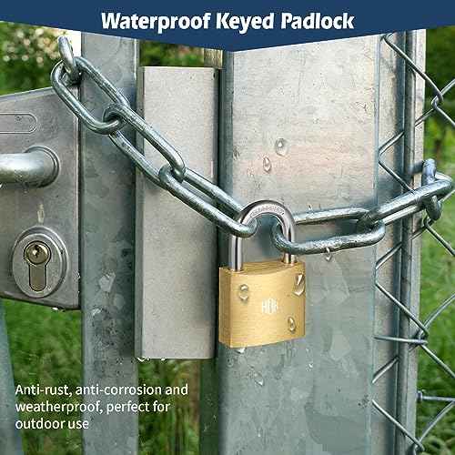 HOX 6-Pack Keyed Padlock, Waterproof and Rustproof, Solid Brass Lock with 1-1/4" Wide Body, Padlock with Keys for Storage Unit, Sheds, Garages and Fence