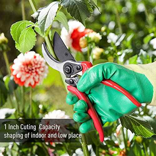 Cut and Hold Pruner Set, Lightweight 32-Inch Long Reach Pruner One-Handed Operation, Hold Long Reach Cut Rotating, 8.3" Hand Pruner for Branch Pruning, Fruit Picking, Prickly Plants & Roses