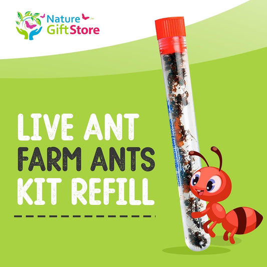 1 Tube Live Ant Farm Ants Plus Ant Food-Bundle