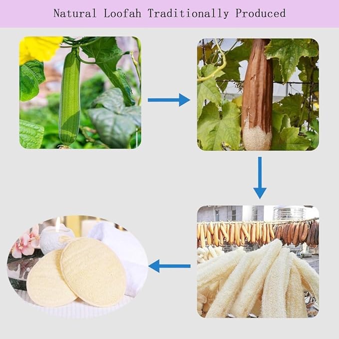 Natural Loofah Exfoliating Body Scrubber,Bath Shower Loofah Sponge for Women and Men,Made with Biodegradable Shower luffa Sponge,for Face and Body That Gets You Clean(3 PC)