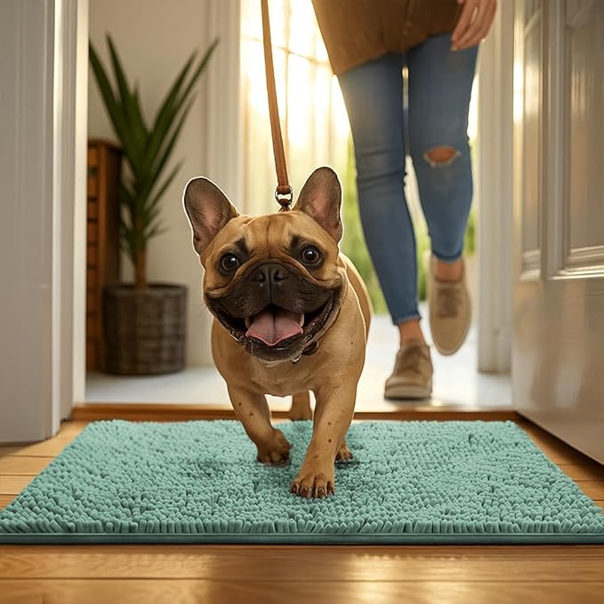MudGuard Mat™ Dog Door Mat for Muddy Paws, Super Absorbent Microfiber, Non-Slip Indoor Mat, Quick Dry Chenille Mud Mat for Dogs & Entryway, Washable, Sea Green 36" x 60"