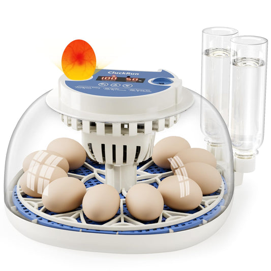 12 Egg Incubators for Hatching Eggs, Temperature and Humidity Control, Automatic Egg Turning, Egg Candler, Automatic Water Refill, for Chicken, Quail & Duck Eggs, Perfect for Home, Farm, Classroom