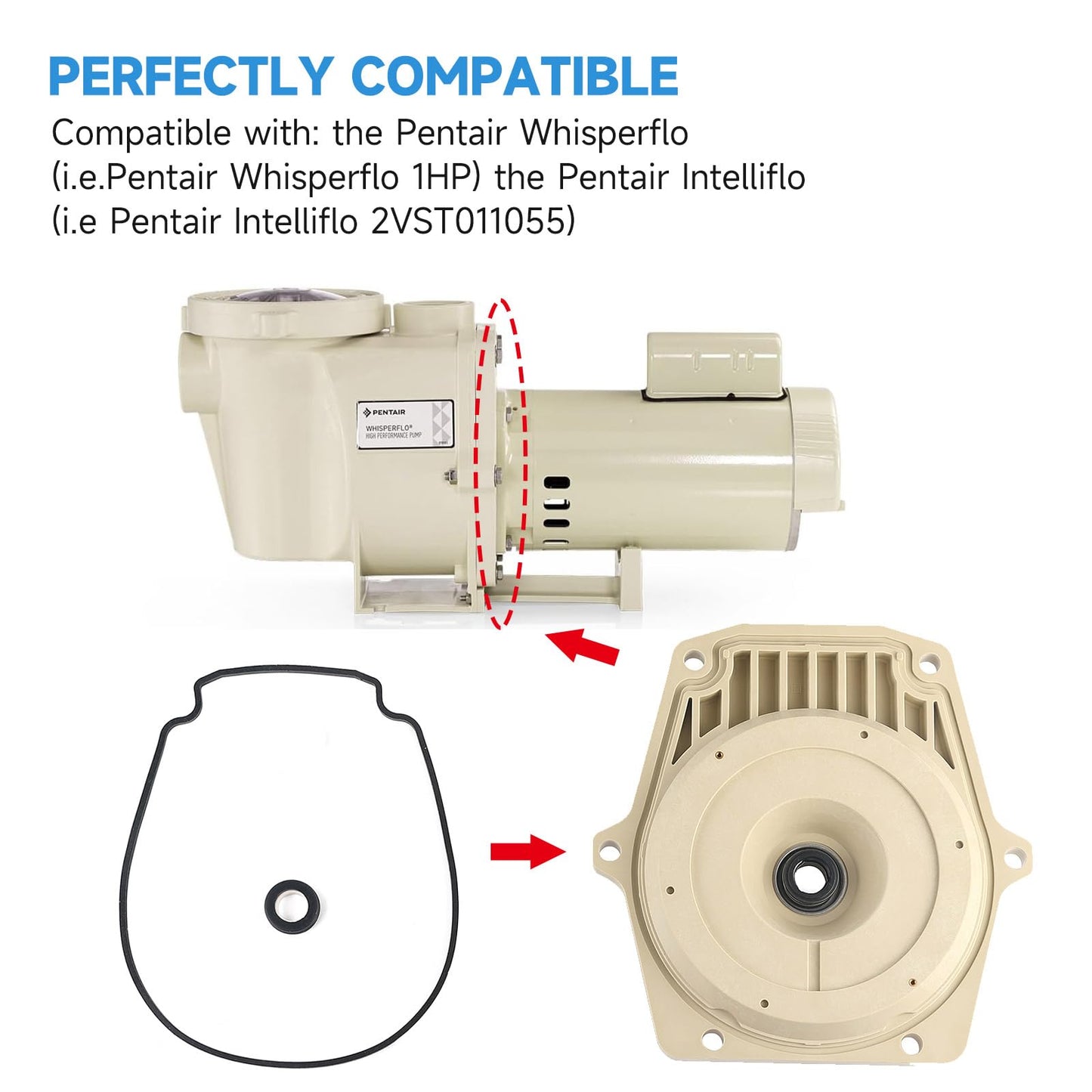 Kolasina 25357-300-000 074564 Seal Plate Fits for Pentair Whisperflo Intelliflo Swimming Pool Pump with Seal Plate Gasket & Shaft Seal PS-1000 & Drain Plugs 071131-192115