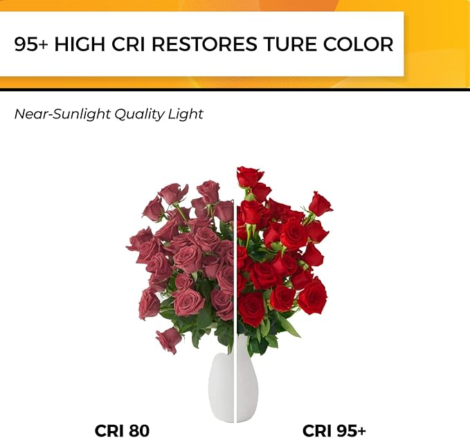 Hizashi Dimmable Edison Bulbs 60 Watt LED, E26 Bulb 2700K Warm White ST19 Vintage Light Bulbs, 95+CRI, UL Listed,700LM 6W E26 Medium Base, Clear Glass, Pack of 4