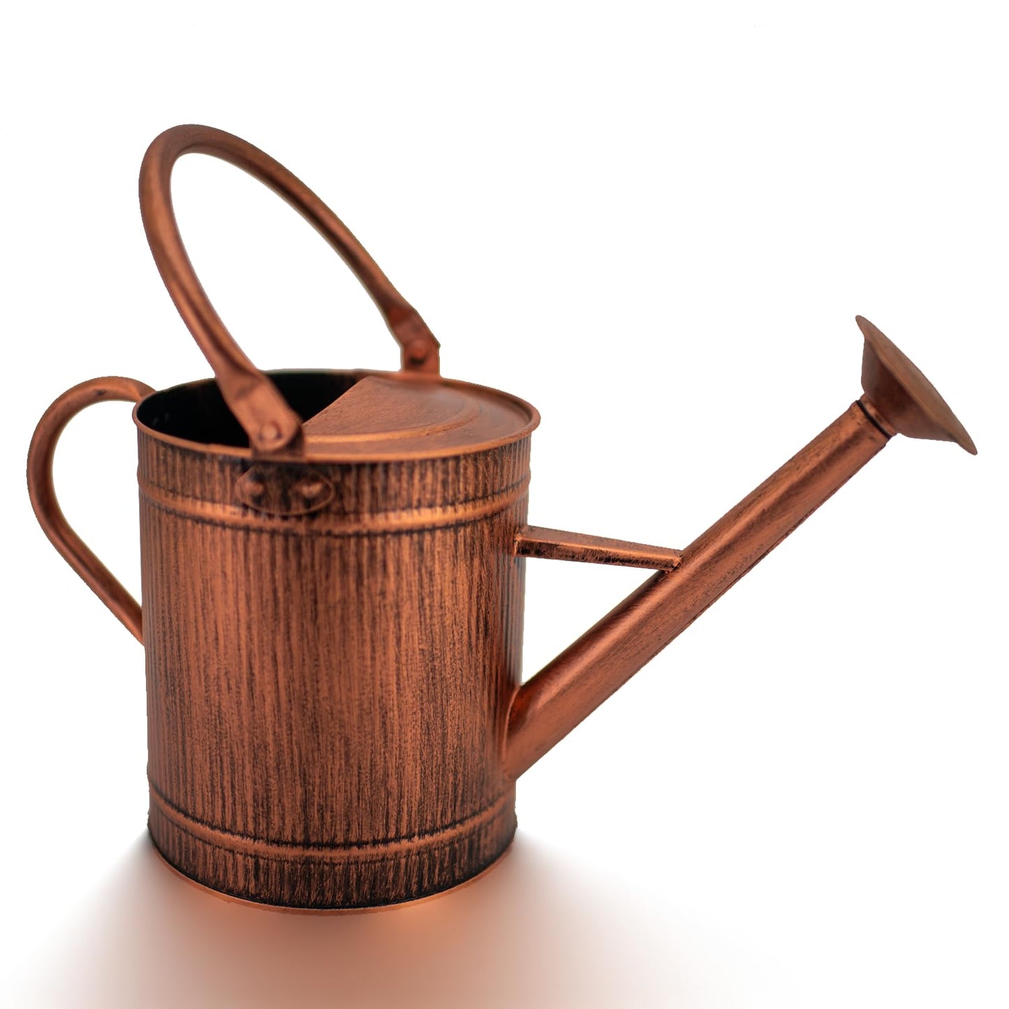 HORTICAN 1 Gallon Watering Can, Copper Watering Can, Metal Water Can with Removable Spout, Perfect Plant Water Can for Indoor and Outdoor