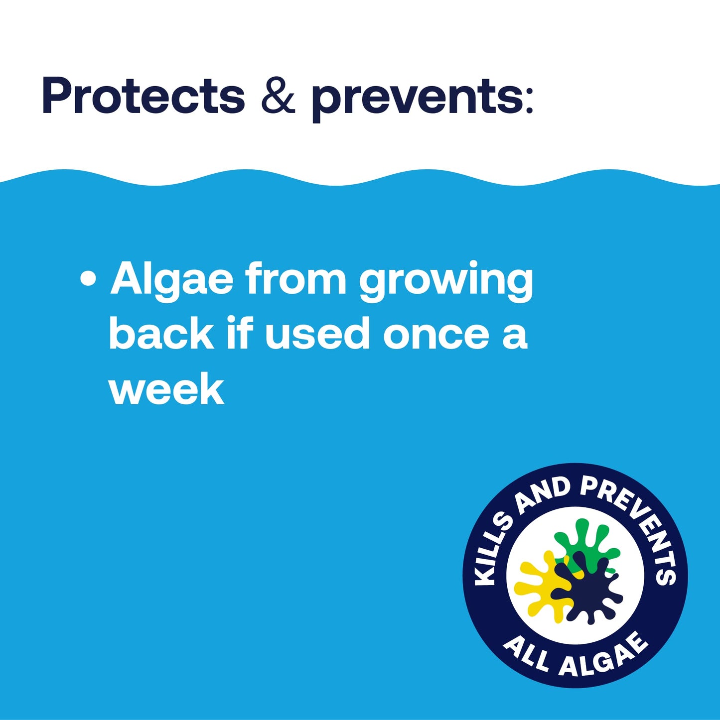 HTH 67084 Pool Care Algae Guard Advanced, All Algae Eliminator for Swimming Pools - Fast-Acting, Destroys & Prevents Green, Black & Mustard Algae, Keeps Pool Water Crystal Clear, 32 fl oz