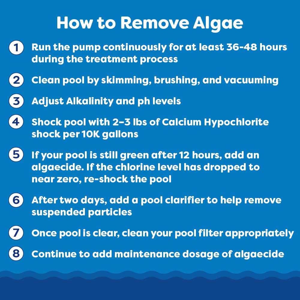 In The Swim Algaecide 60 Plus for Swimming Pools - Non-Metallic, Low Odor, Non-Foaming Algae Bloom Preventative - Chlorine Sanitizer Compatible - 1 Gallon
