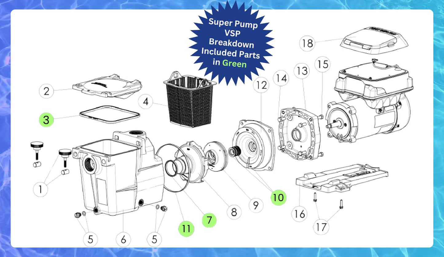 KitKing - SPX1600TRA Super Pump Seal Replacement for Hayward Go Kit 3. Fits SP1600, SP2600 in Regular, X, VSP Models. SPX1600TRA SP1600Z2 PS-201 SPX1600R SPX1600S SPX1600T Pool