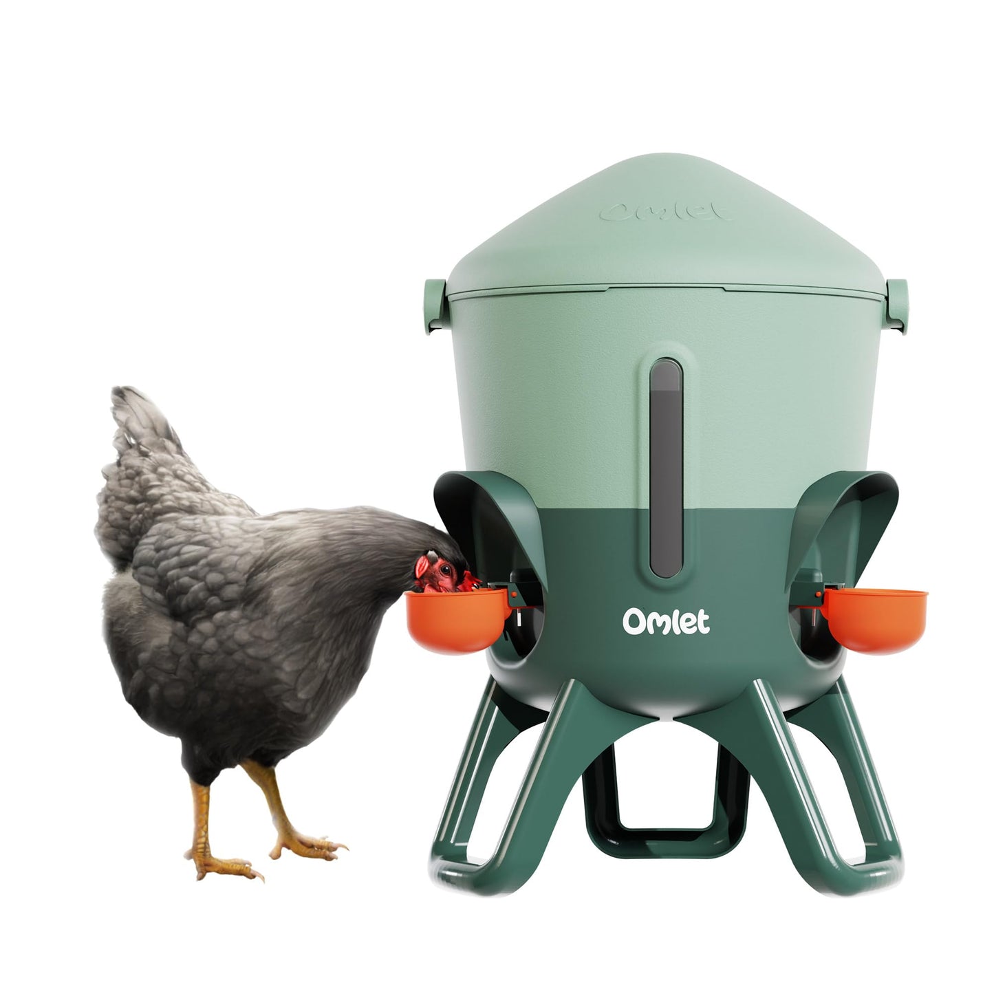 Omlet Insulated Chicken Waterer, 1.5 Gallon | Stay-Clean Automatic Water Dispenser for Chickens | BPA-Free | Anti-Roost Domed Lid | Includes 3 Cups & Nipples | Sage Green